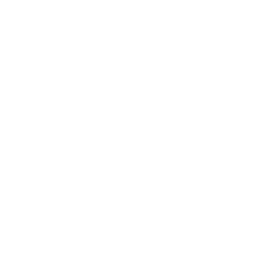 BARS