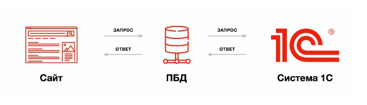 Синхронизация с 1С - МФитнес Онлайн